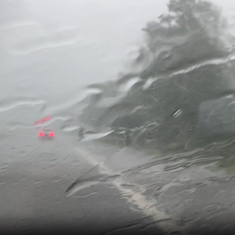 Starkregen auf der Autobahn 81 bei Hegau (Symbolbild) (Foto: SWR)